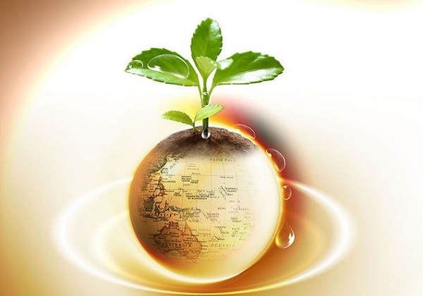 欧洲央行利率“七连降”稳定预期